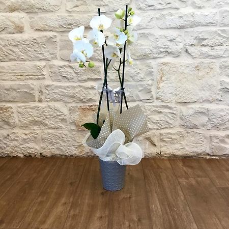 B&B Sant'Agostino 지오비나조 외부 사진