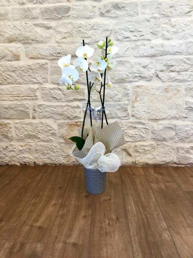 B&B Sant'Agostino 지오비나조 외부 사진